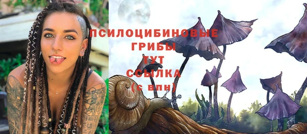 бошки Белокуриха
