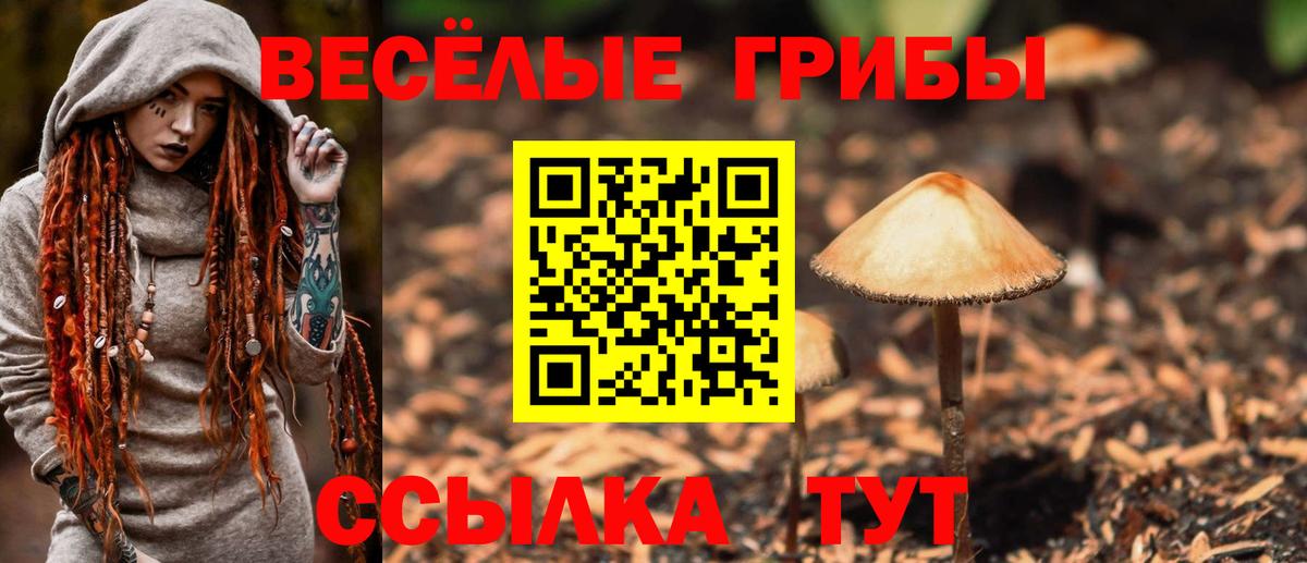 Псилоцибиновые грибы Cubensis  Вход с VPN  Сегежа 