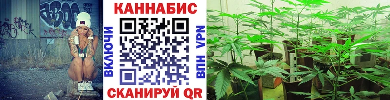 Каннабис гибрид  сколько стоит  Сегежа 