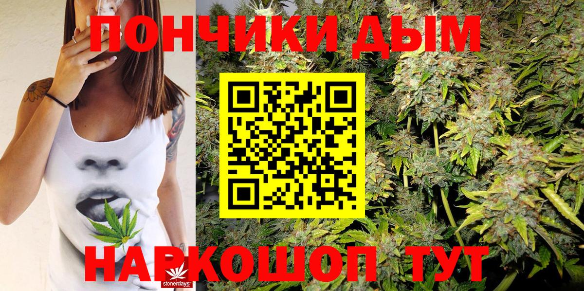 Шишки марихуана марихуана  Шишки марихуана ГИДРОПОН  Каннабис тримм  Вход с VPN  Сегежа  Бошки марихуана SATIVA & INDICA 